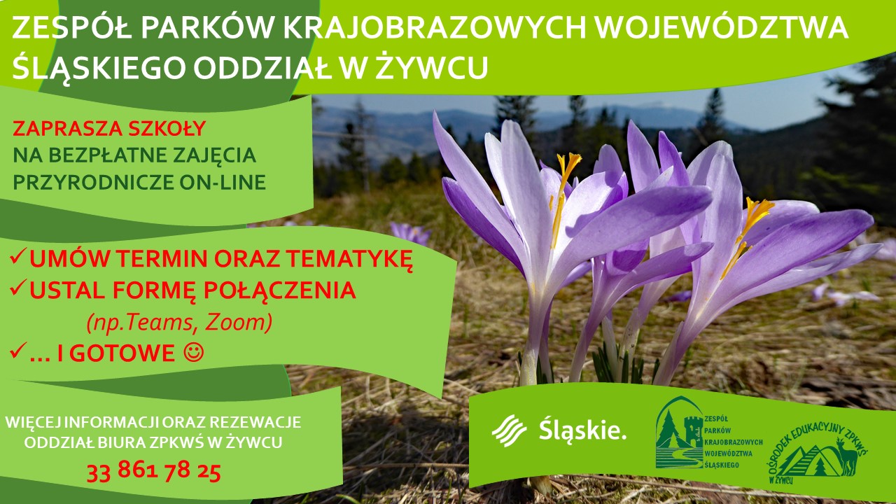 01.ZPKWS ŻYWIEC zajęcia online