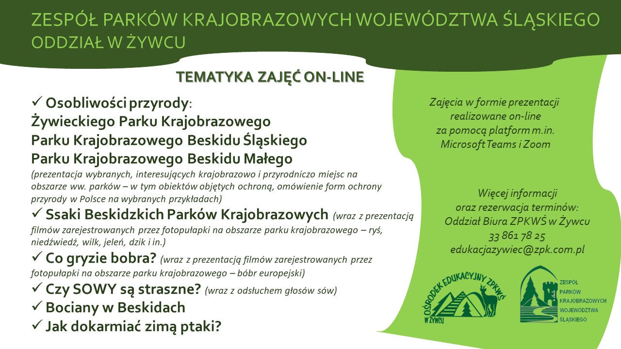 02.ZPKWS ŻYWIEC zajęcia online Tematyka