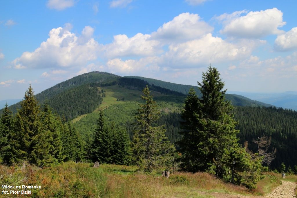 ŻPK widok na Romankę