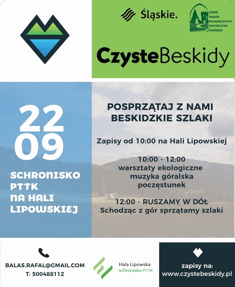 plakat Z LOGO Mały