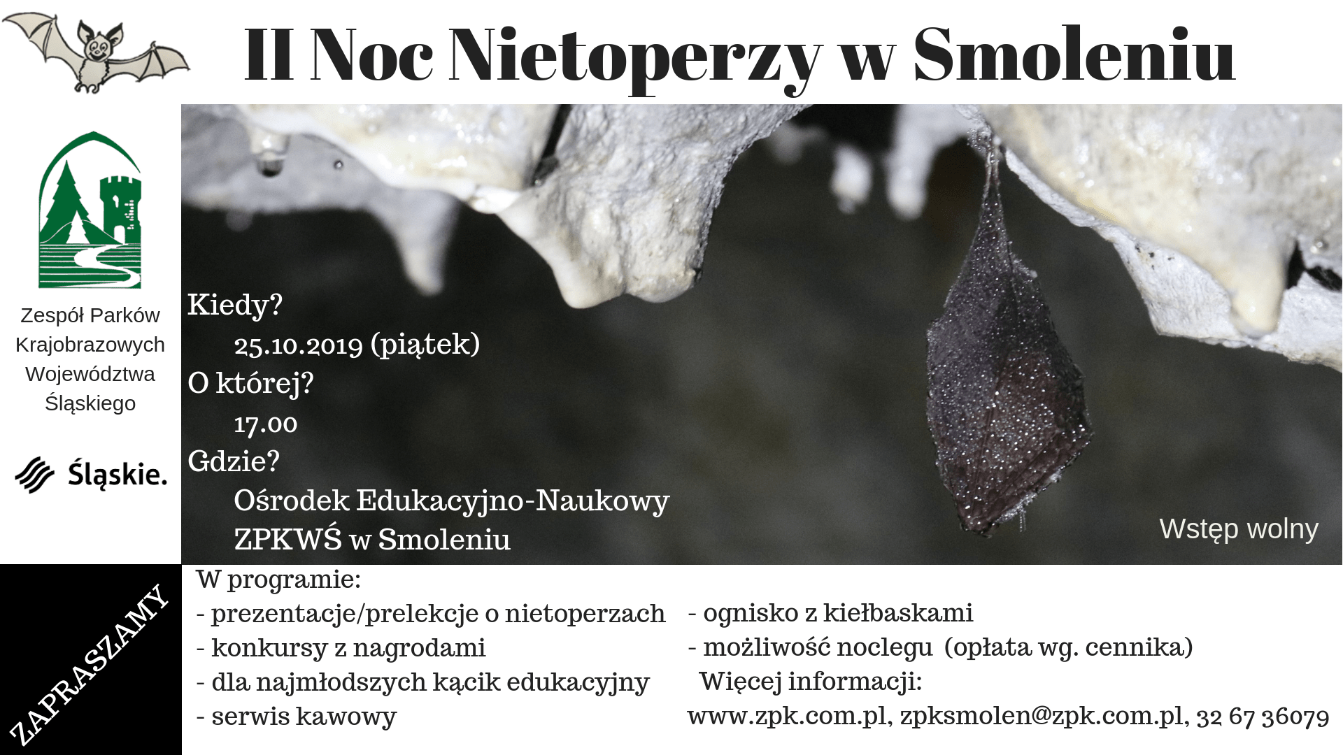 II Noc Nietoperzy Smoleń min