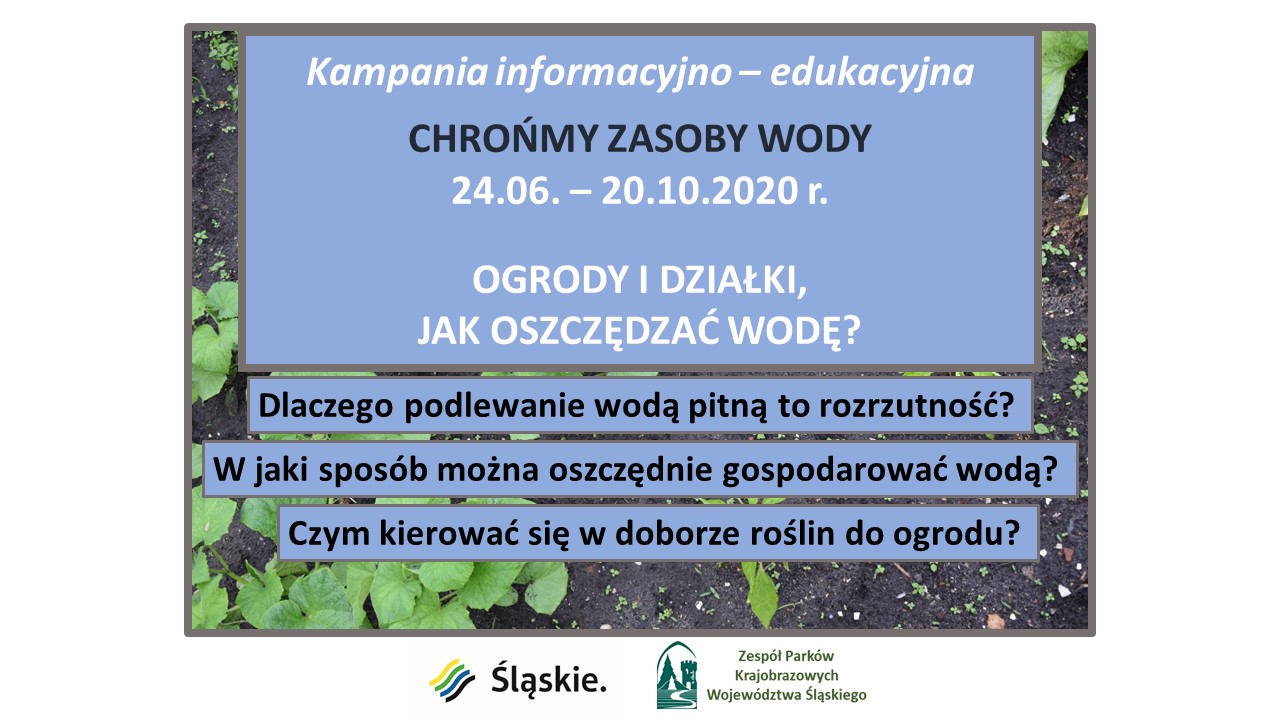 ogródki i działki