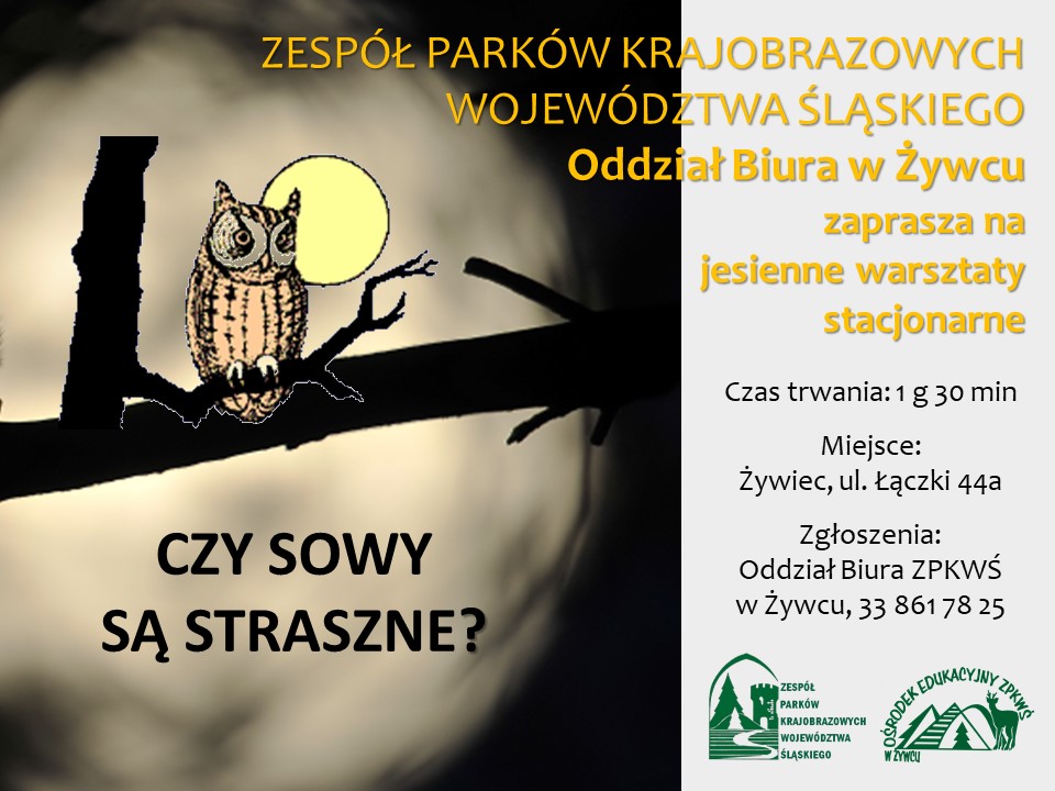 Sowy zaproszenie