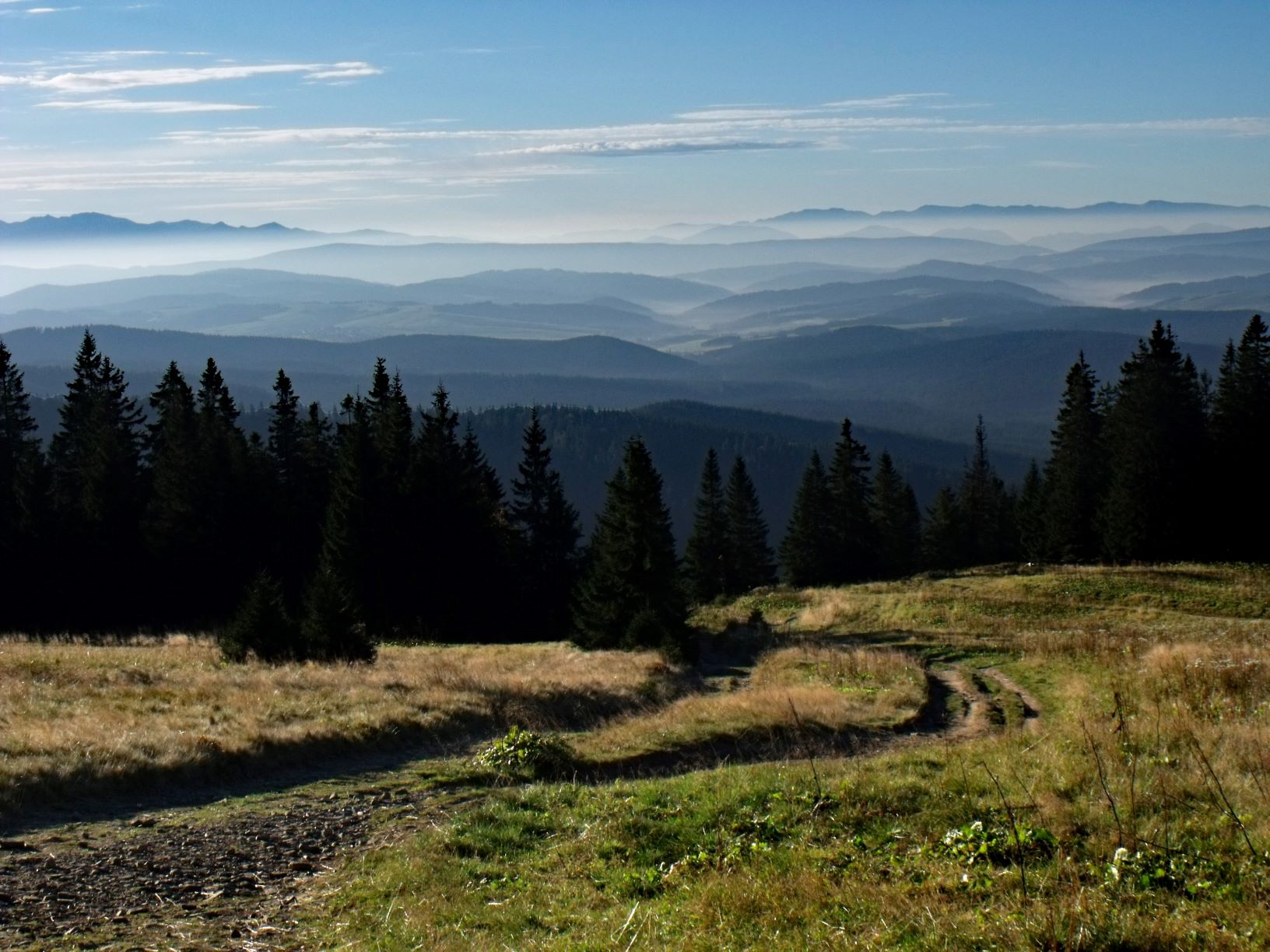 zmniejszona panorama