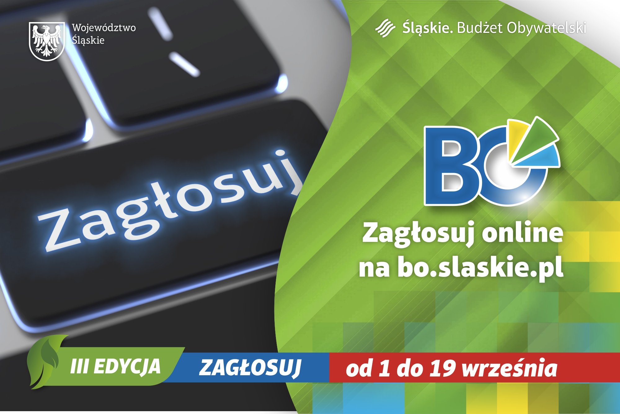 bo glosowanie zaglosuj 11