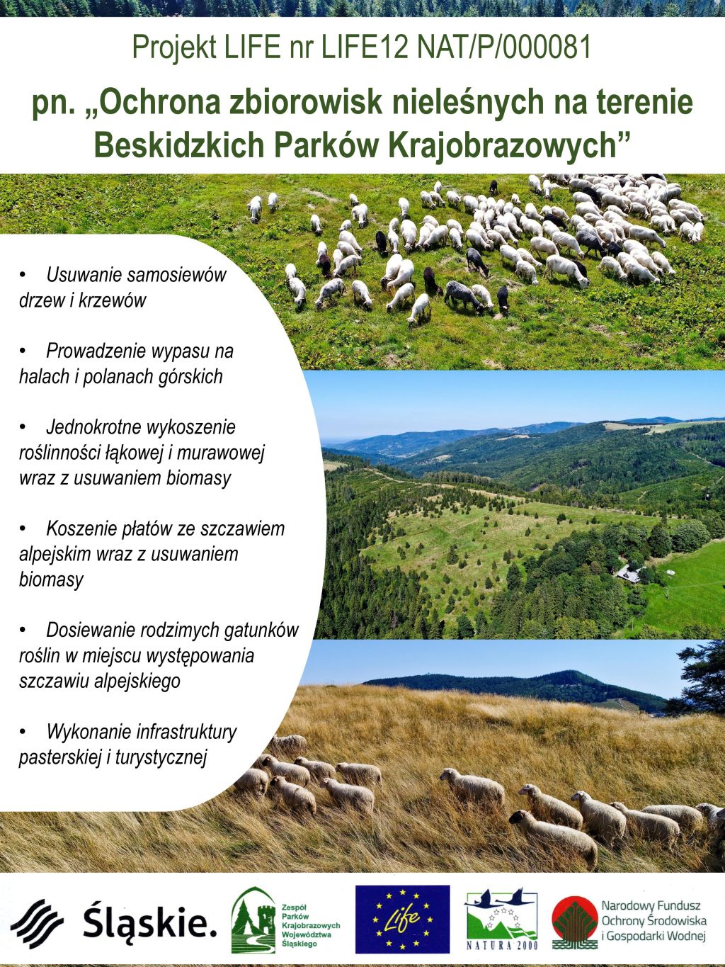 Plakat Life Beskidy Działania