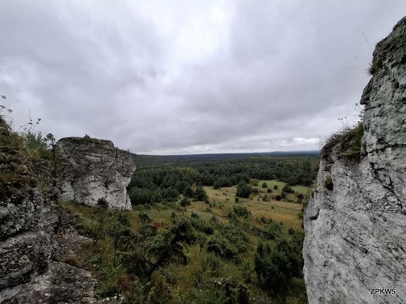 Fotografia przedstawia krajobraz jurajski widoczny pomiędzy ostańcami wapiennymi.
