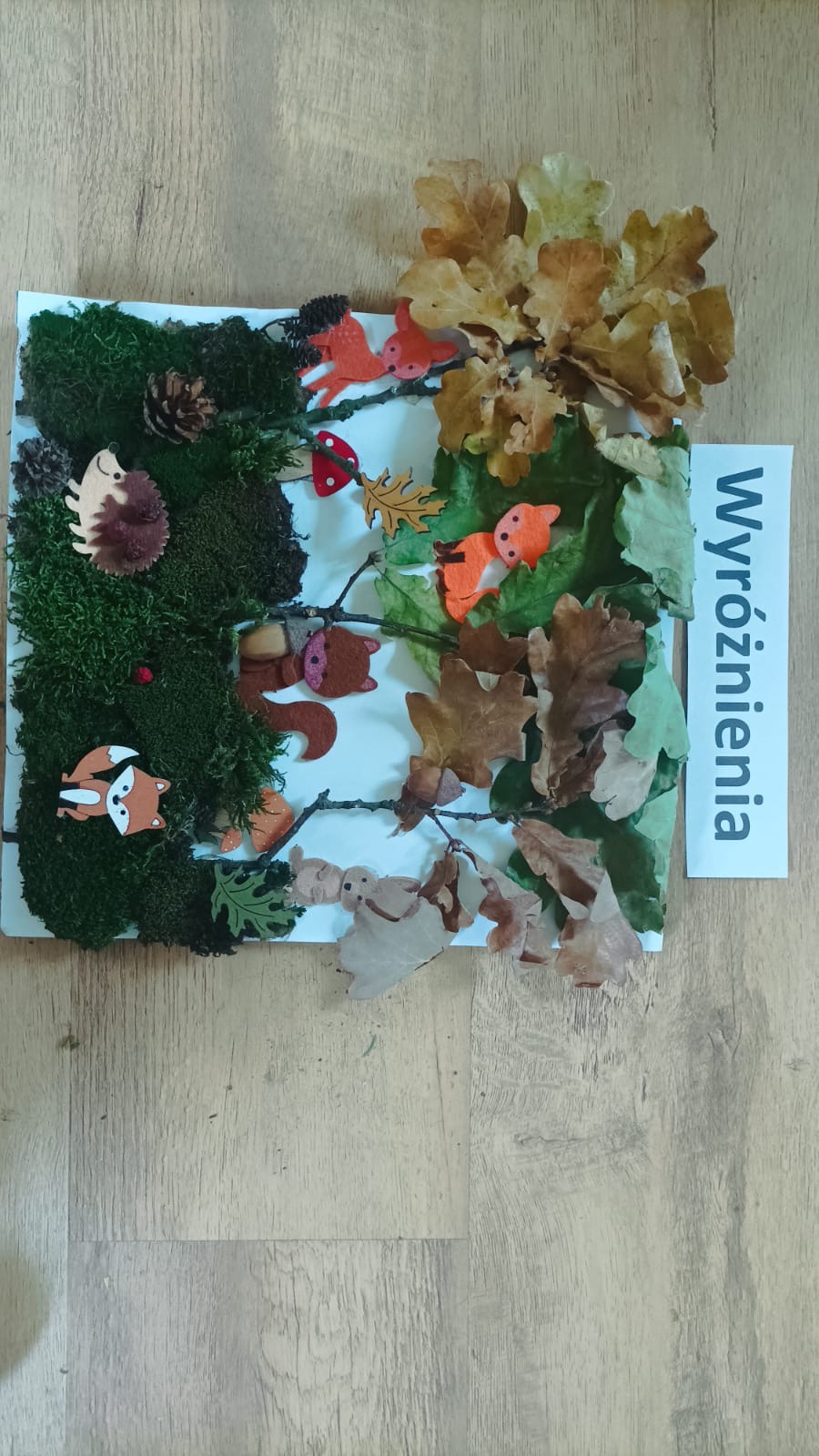 Wyróżnienie, przedstawia las wykonany z naturalnych materiałów pozyskanych z lasu oraz przyczepione zwierzęta leśne lis, wiewiórka, sarna, zając.