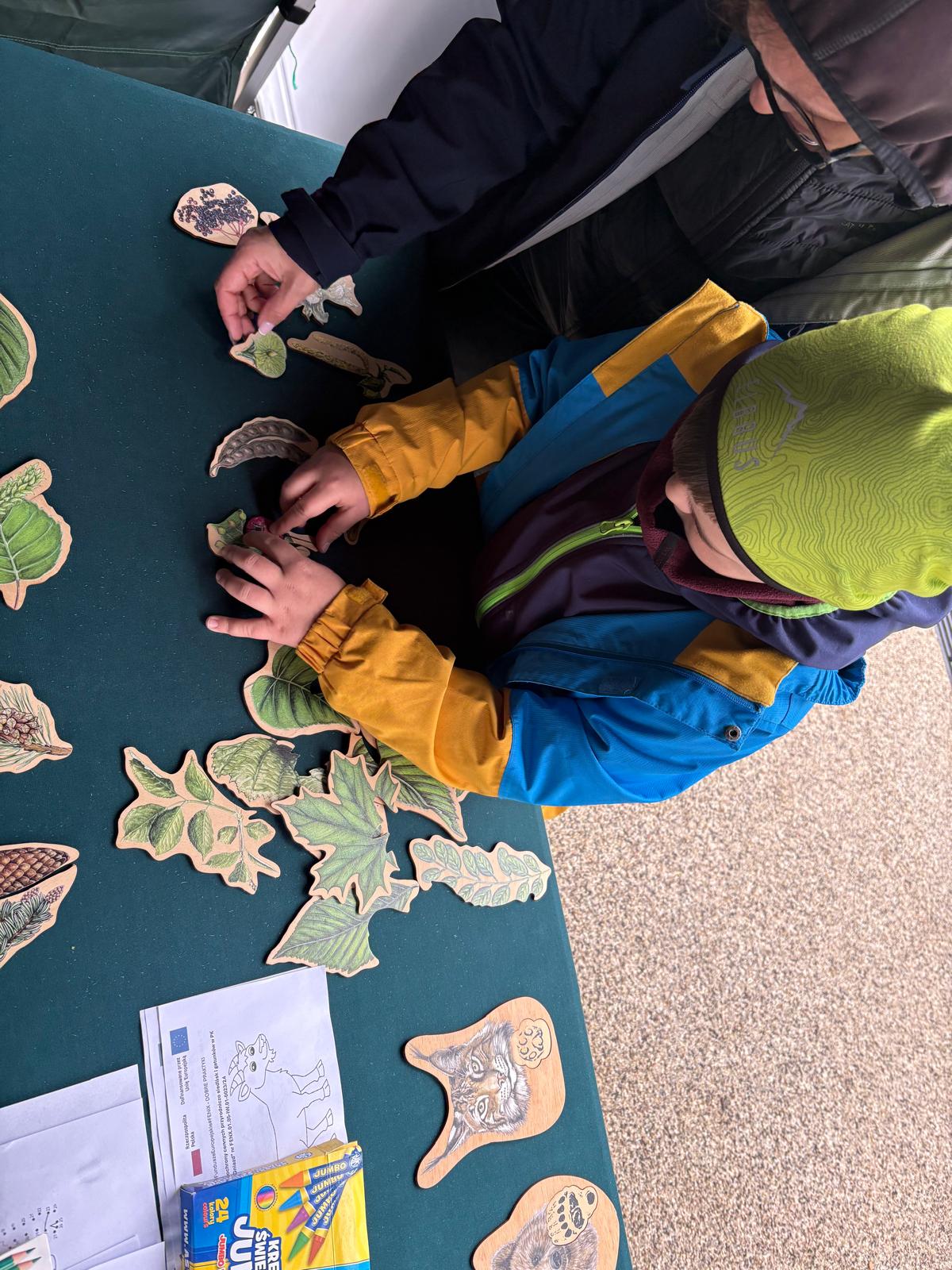 Na zdjęciu widać dziecko w kolorowej kurtce (niebiesko-żółto-bordowej) i jasnozielonej czapce oraz osobę dorosłą w ciemnej kurtce. Oboje stoją przy stole przykrytym ciemnozielonym obrusem, na którym rozłożone są drewniane elementy w kształcie różnych liści i owoców leśnych. Dziecko układa lub dopasowuje elementy, a dorosły pomaga, wskazując dłonią. Na stole znajdują się również kredki Jumbo, arkusze do kolorowania i tabliczki z rysunkami zwierząt. W tle widać podłoże żwirowe lub betonowe.