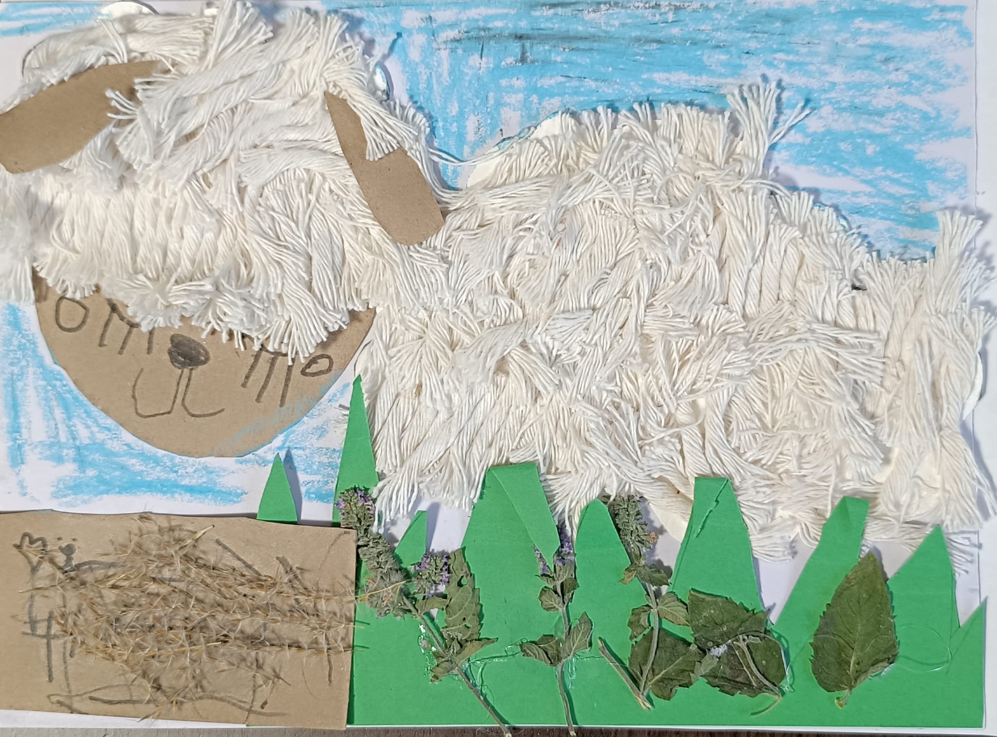 Na obrazku znajduje się owca wykonana techniką kolażu. Jej głowa i uszy są zrobione z brązowego papieru, a wełnę przedstawiają gęsto przyklejone białe sznurki. W tle widać niebieskie niebo narysowane kredką. Na dole znajduje się zielona trawa wycięta z papieru oraz przyklejone prawdziwe zasuszone liście.