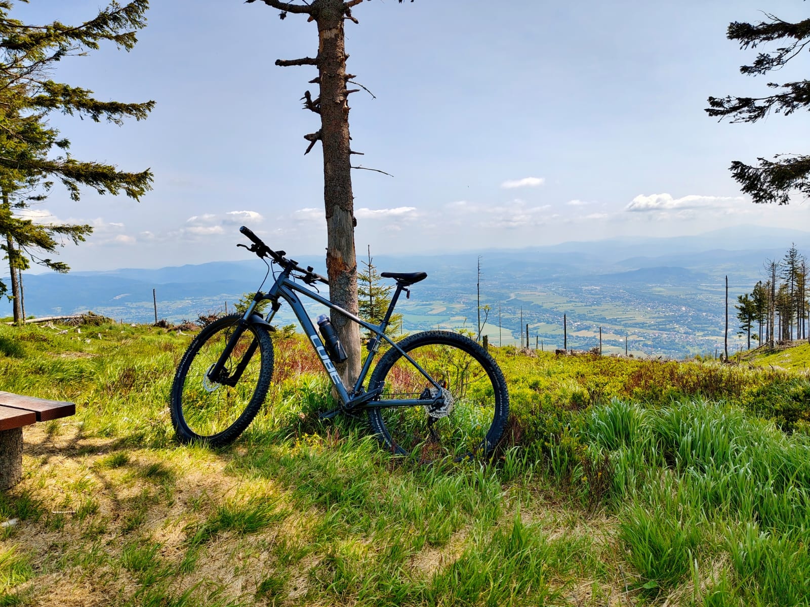 Rower oparty o pień drzewa. Rower stoi na szczycie góry, w tle rozległy widok na pasma gór.