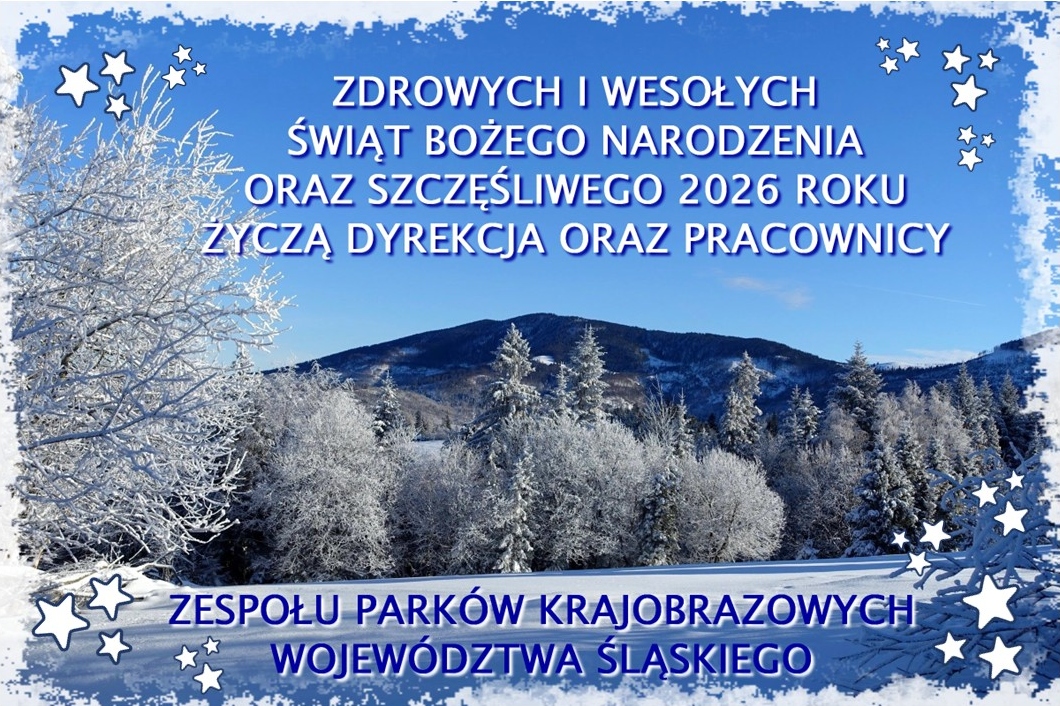 Wesołych Świąt Bożego Narodzenia