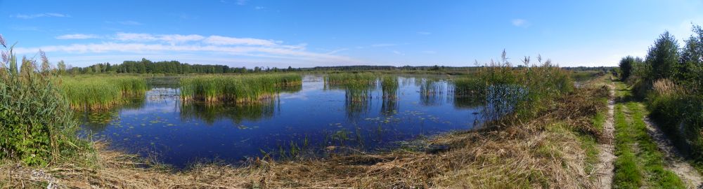 Fot._Panorama_stawu_Hadra_I