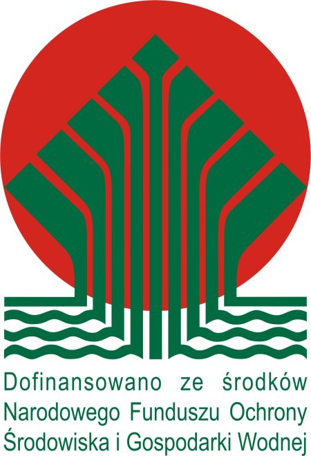 logo_kolor_dofinansowano_pl