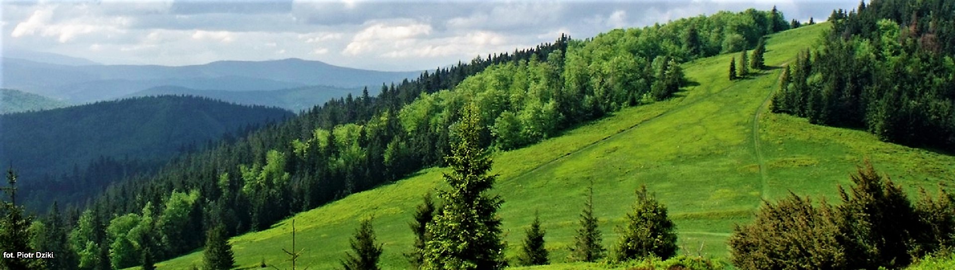 Żywiecki Park Krajobrazowy