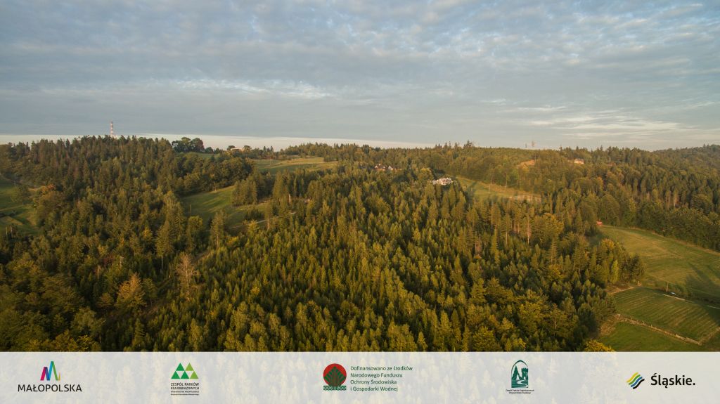 Panorama Masywu Magurki Wilkowickiej i Czupla 7