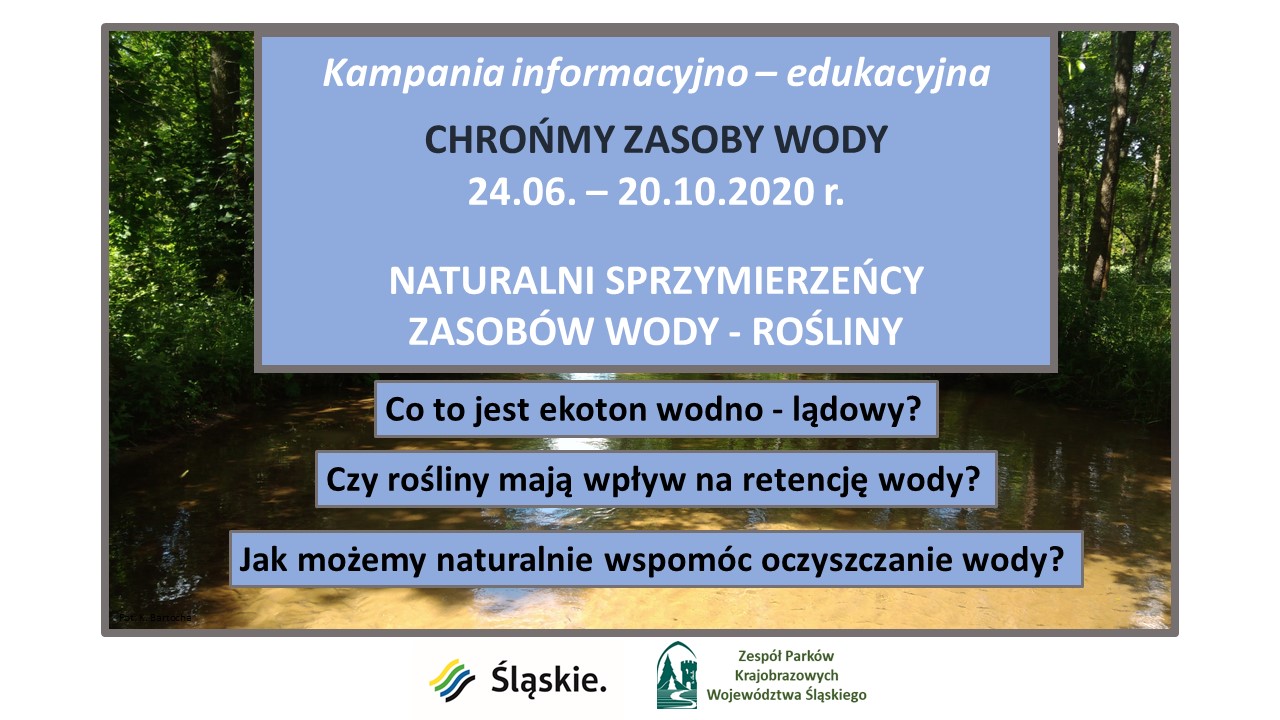 naturalni sprzymierzeńcy zasobów wody