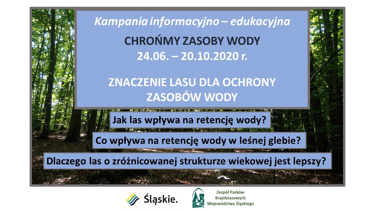 baner znaczenie lasów dla zasobów wody