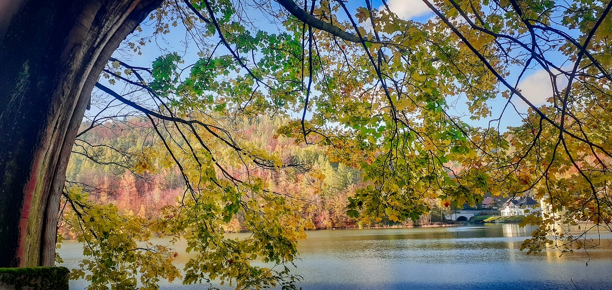 I miejsce Zemanek Eryk SP 1 Czaniec 3