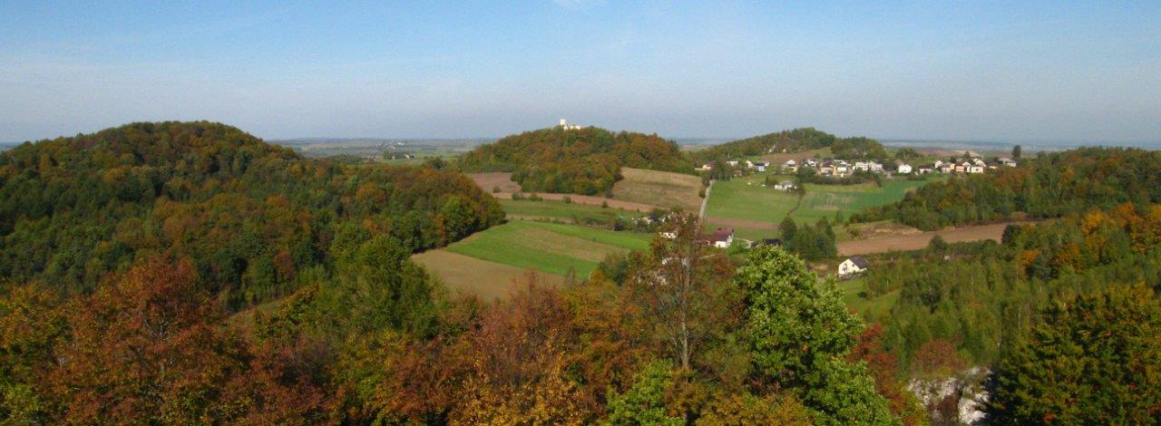 krajobraz pasma skałkowego ze Skał Zegarowych fot. P. Kokoszka