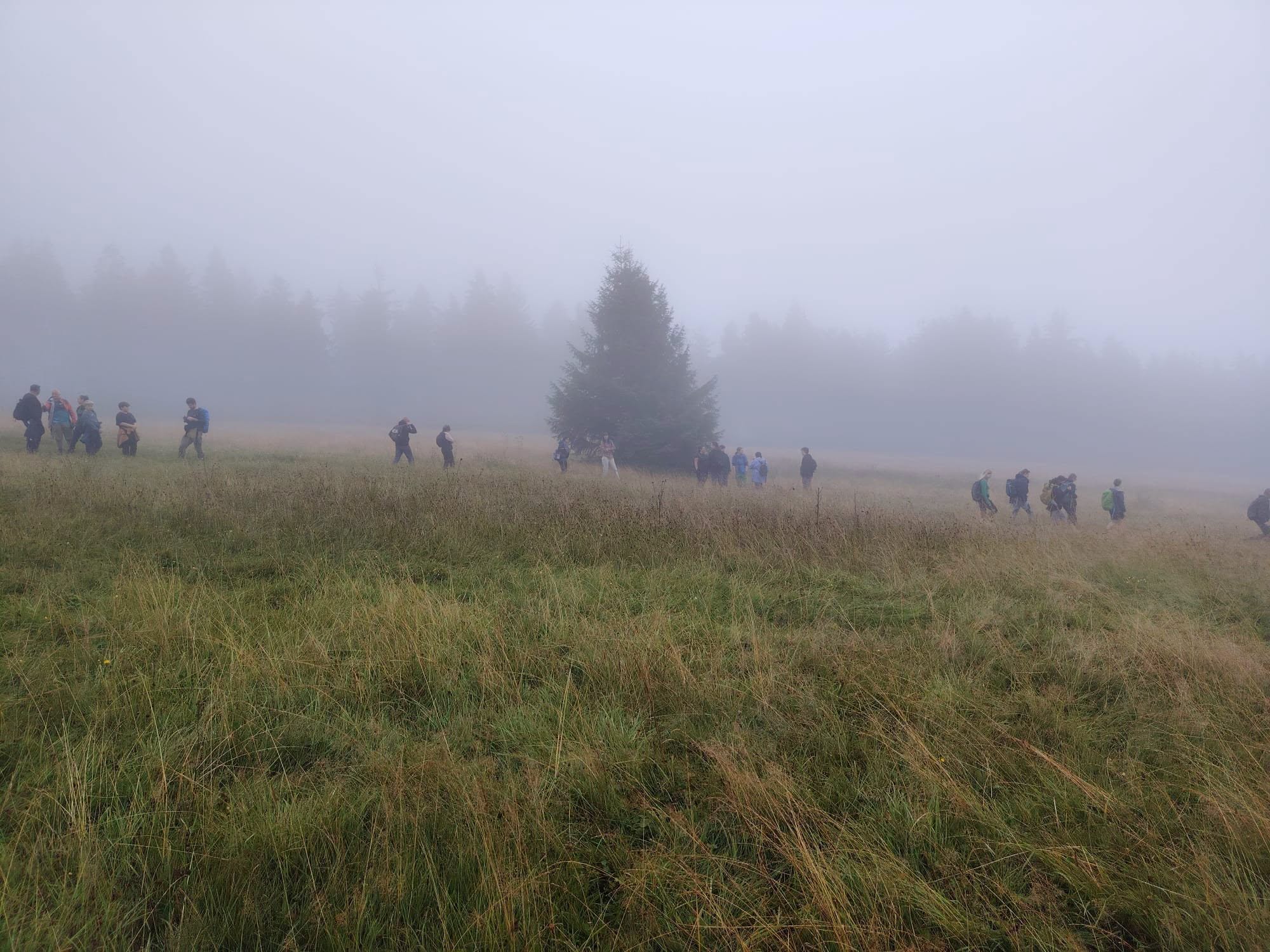 Grupa osób idzie przez halę. Dookoła mgła, w tle las.