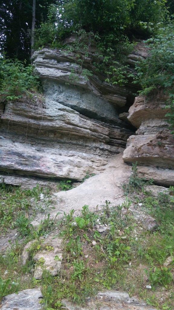 Odsłonięcie geologiczne Muoriskiu Atodanga w miejscowości Nemunelis. Autor fotografii Paweł Kokoszka